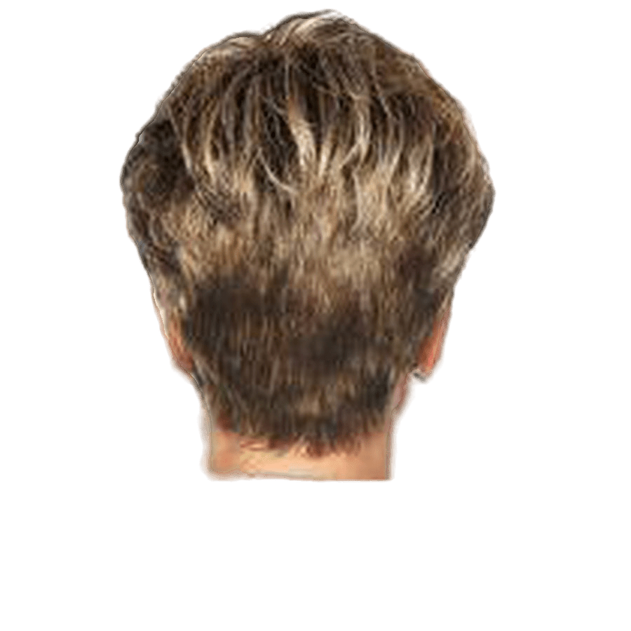 Raquel Welch Winner Wig Hairpiece - Choose Color