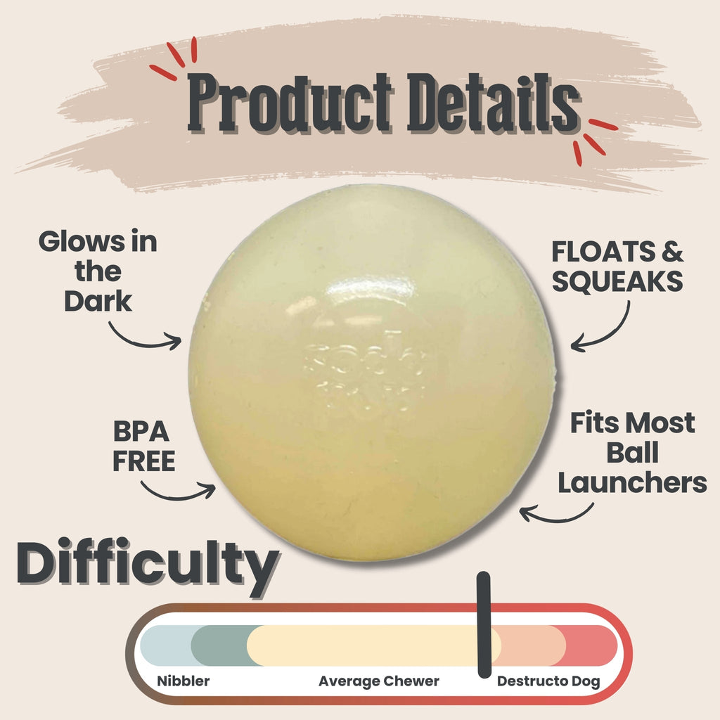 Dog Fetch Balls