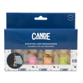 Summer Scents 4 Pack Scented Car Fresheners Bundle