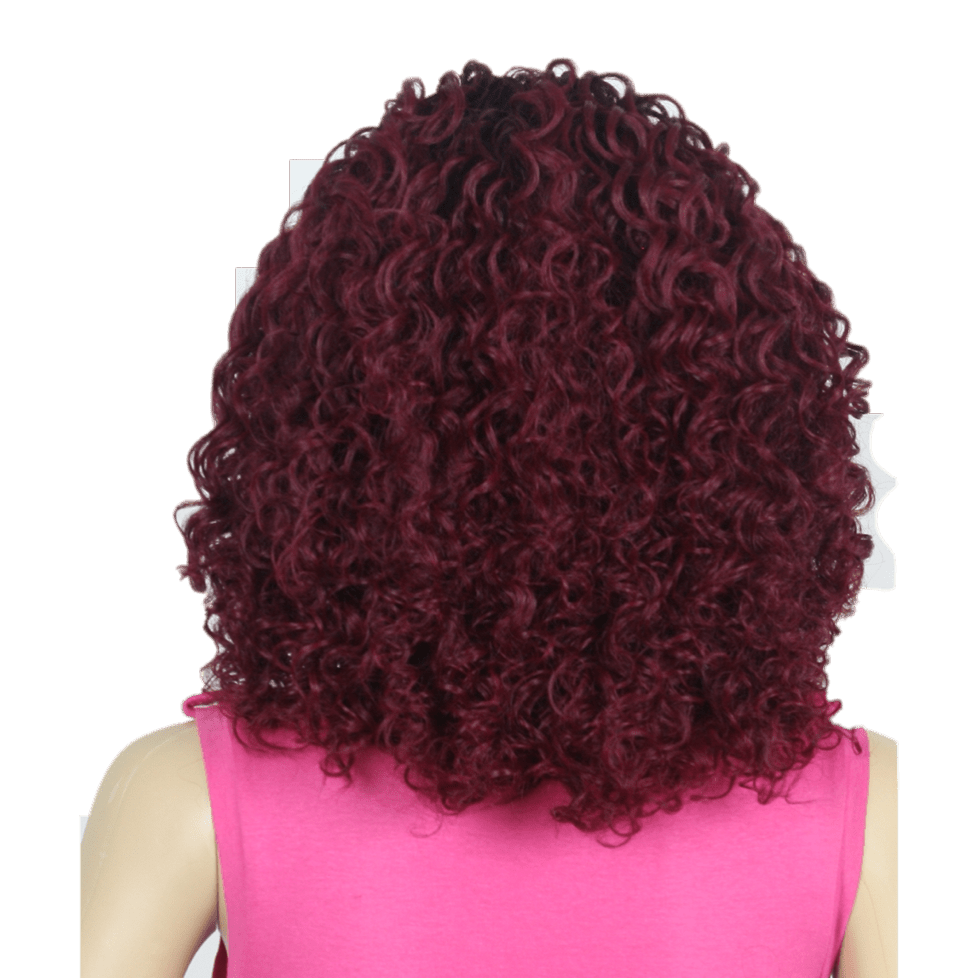 It's a Wig! Swiss Lace Yeva Wig Hairpiece - Choose Color