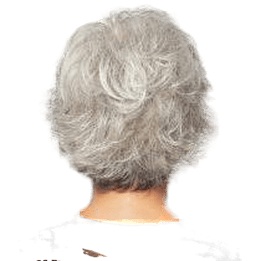 Raquel Welch Voltage Wig Hairpiece - Choose Option