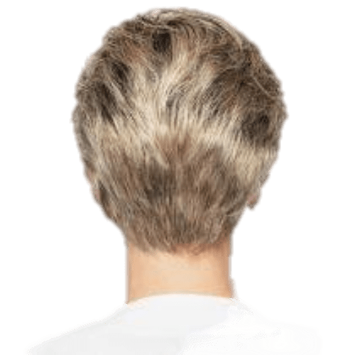 Raquel Welch Winner Elite Wig - Choose Color